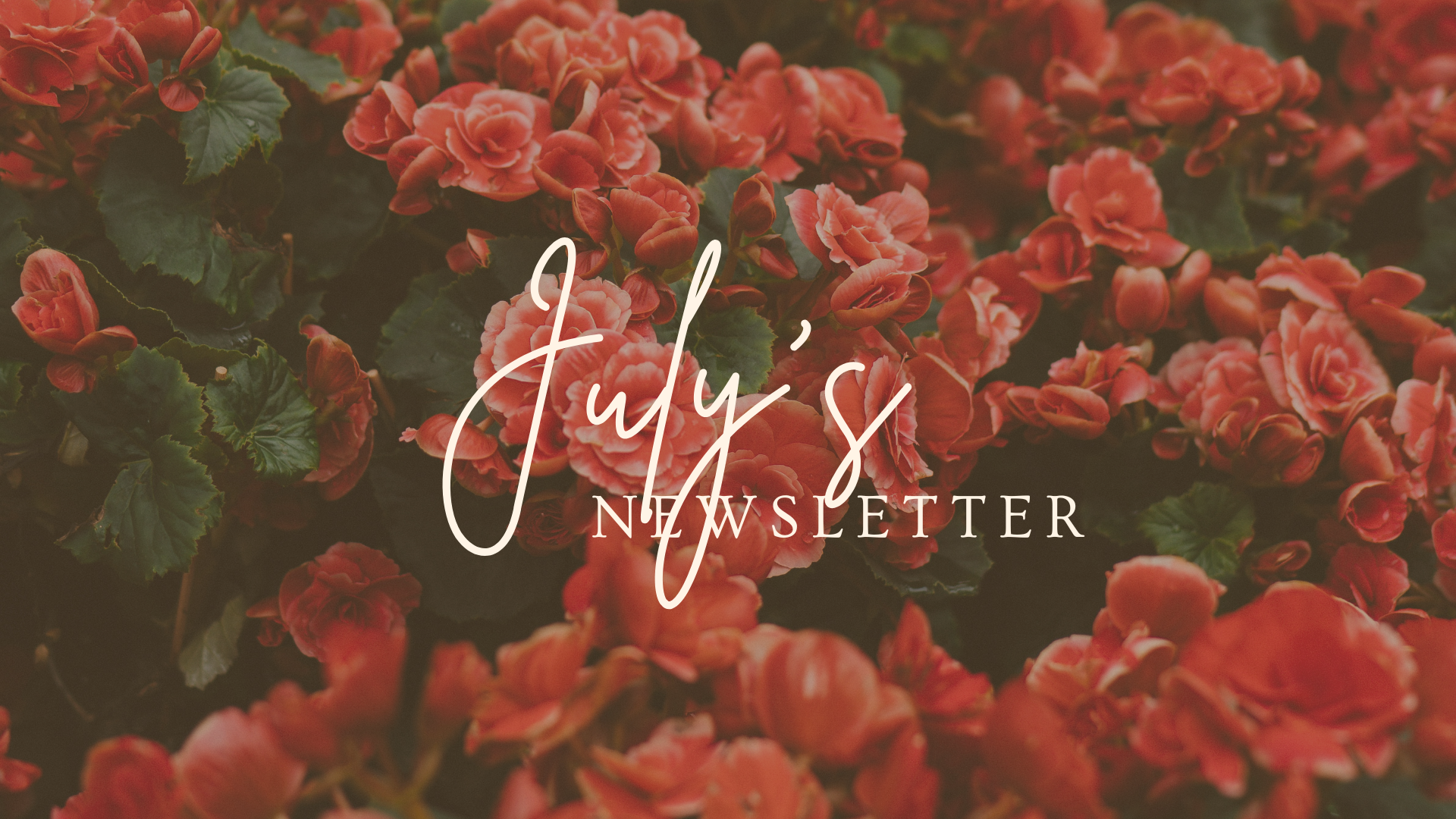 The Tip Newsletter: Issue #2